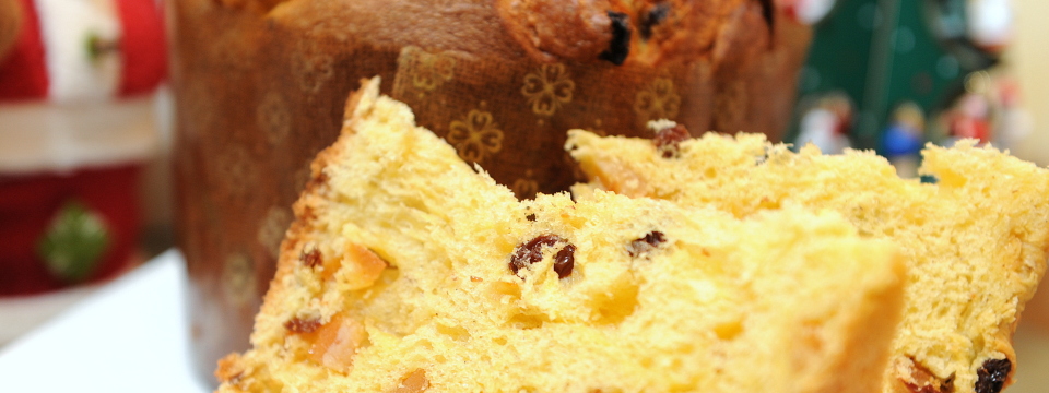 Panettone (F. Elmi)